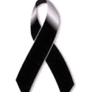 Meet your Posher, Edîšöň